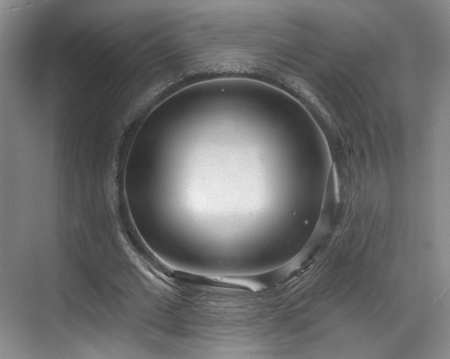 X0000070240677200606091335