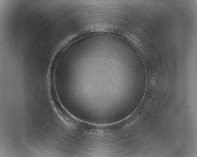 X0000070240678200606091335