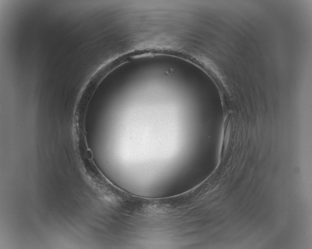 X0000070240680200606091335