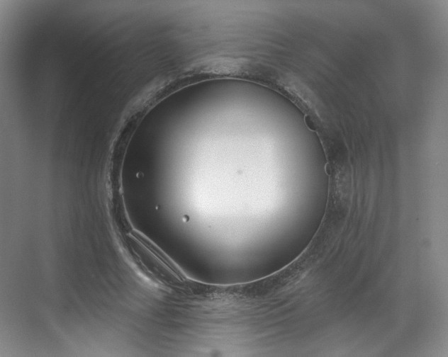 X0000070240682200606091335