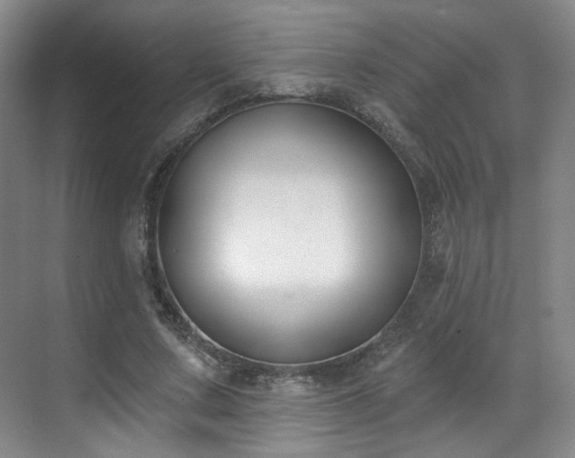 X0000070240683200606091335