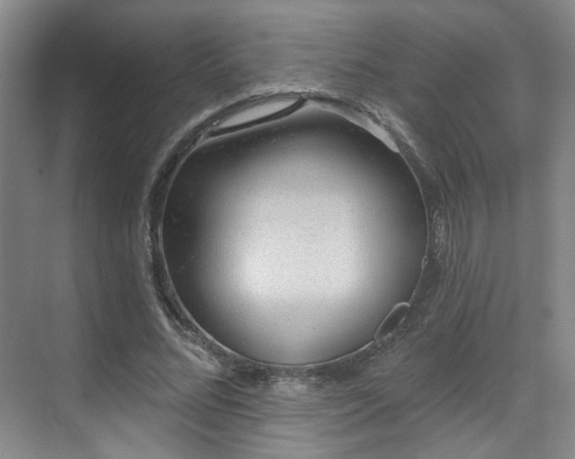 X0000070240684200606091335