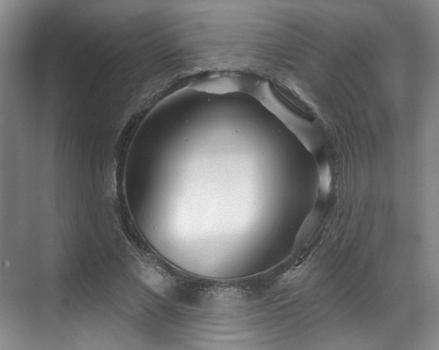 X0000070240685200606091335