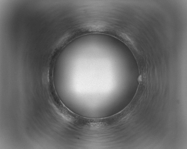 X0000070240686200606091335