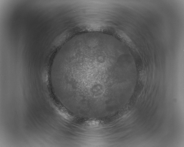 X0000070240687200606091335