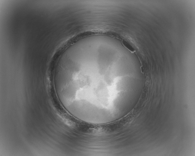 X0000070240688200606091335