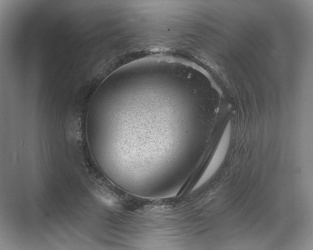 X0000070240689200606091335