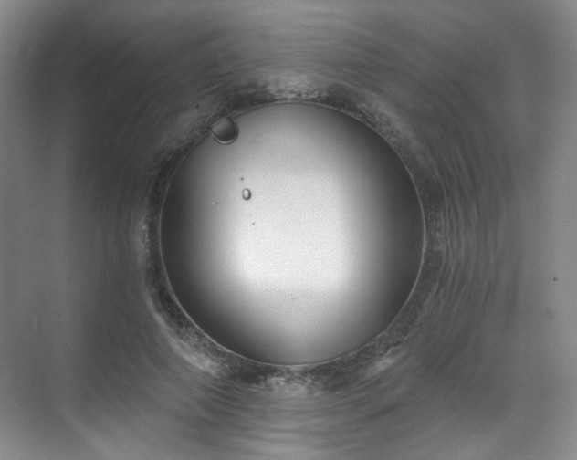 X0000070240690200606091335