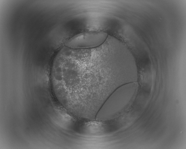 X0000070240691200606091335