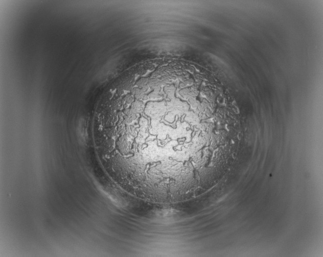 X0000070240695200606091335