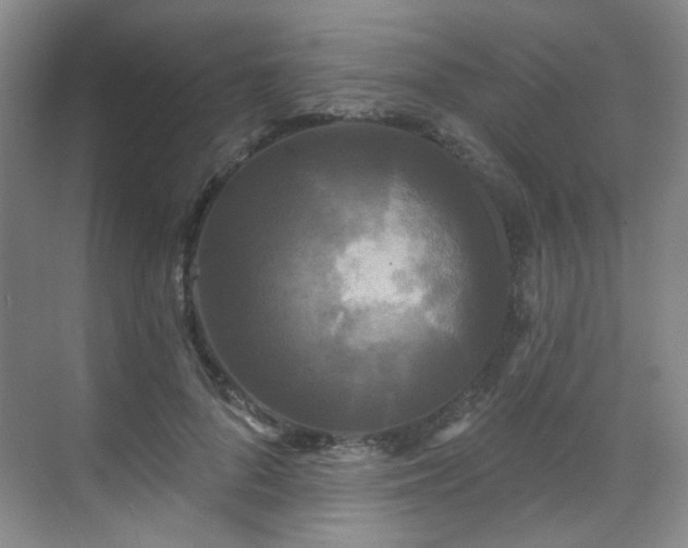 X0000070240696200606091335