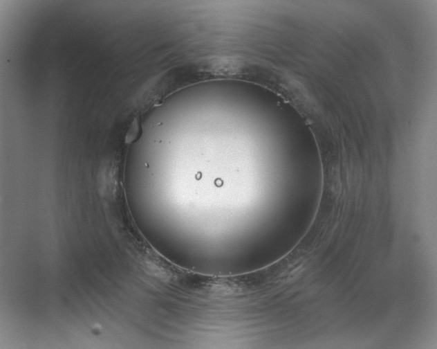 X0000070240697200606091335