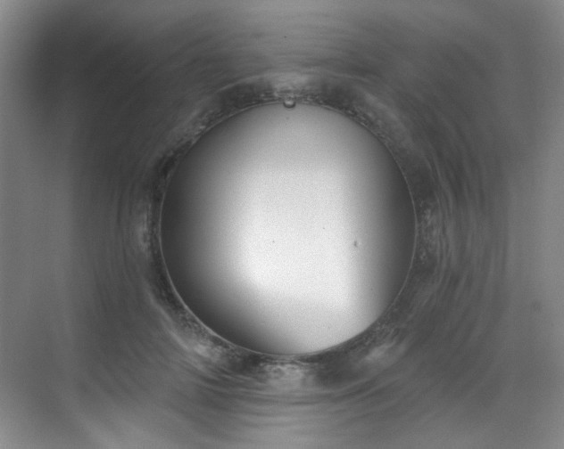 X0000070240698200606091335