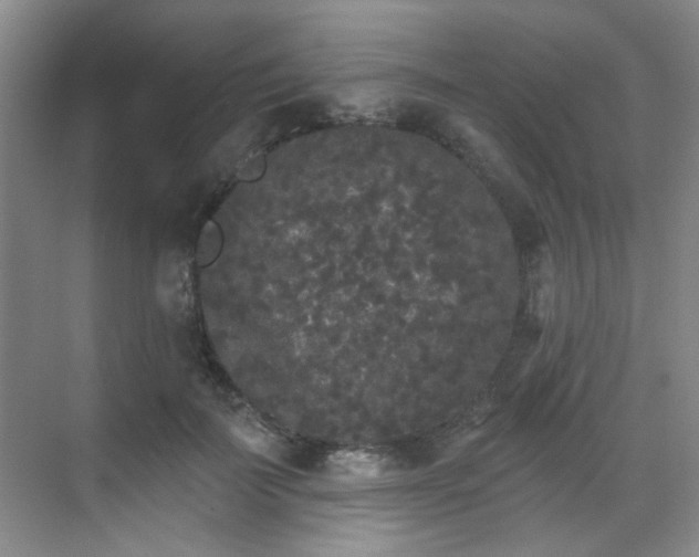 X0000070240699200606091335