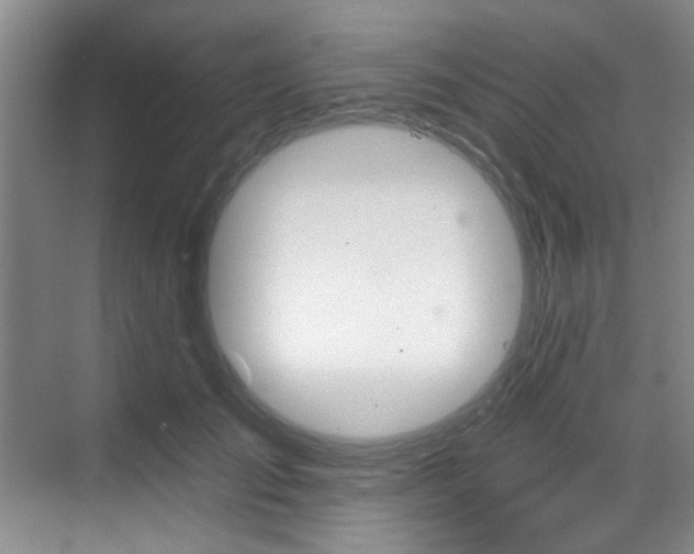 X0000070240701200606091335