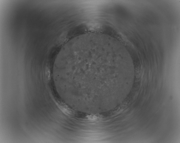 X0000070240703200606091335