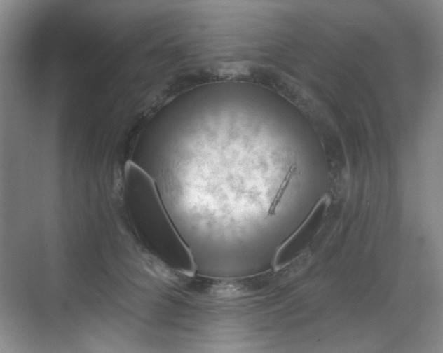 X0000070240704200606091335