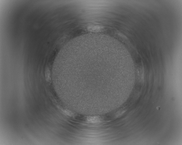 X0000070240705200606091335