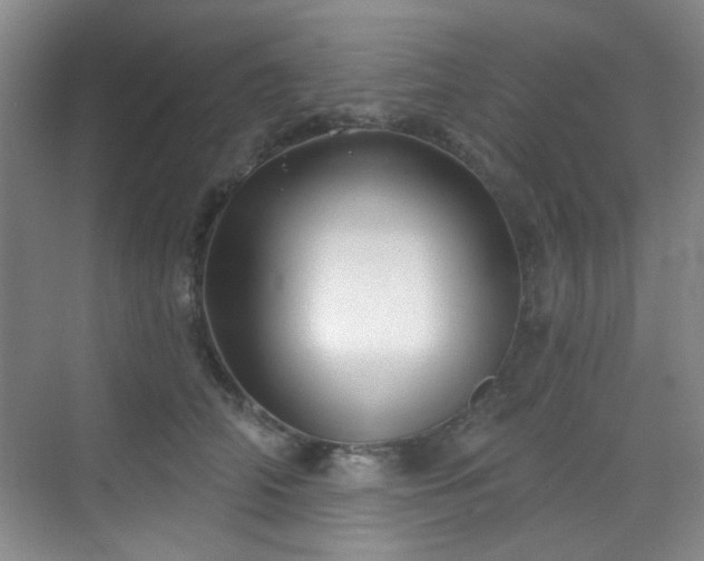 X0000070240706200606091335