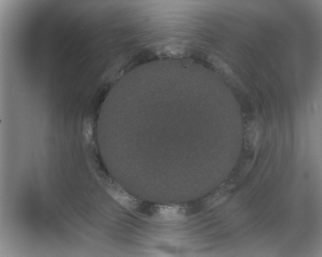 X0000070240709200606091335