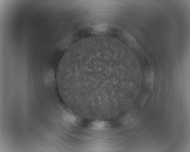 X0000070240711200606091335