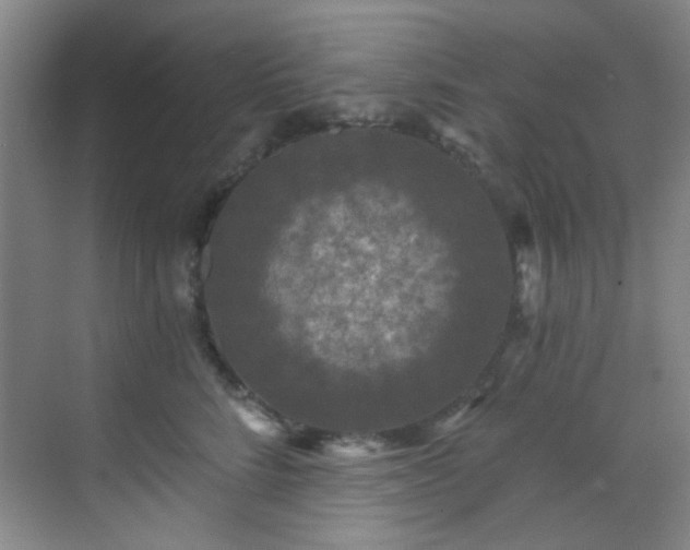 X0000070240712200606091335