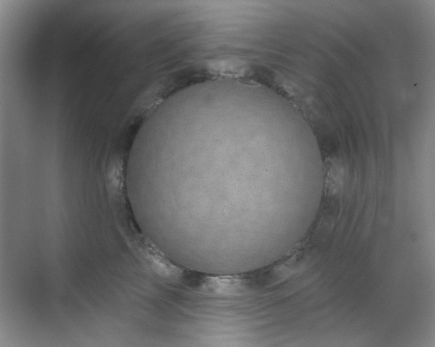 X0000070240713200606091335