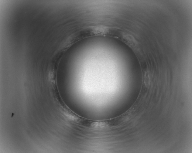 X0000070240714200606091335