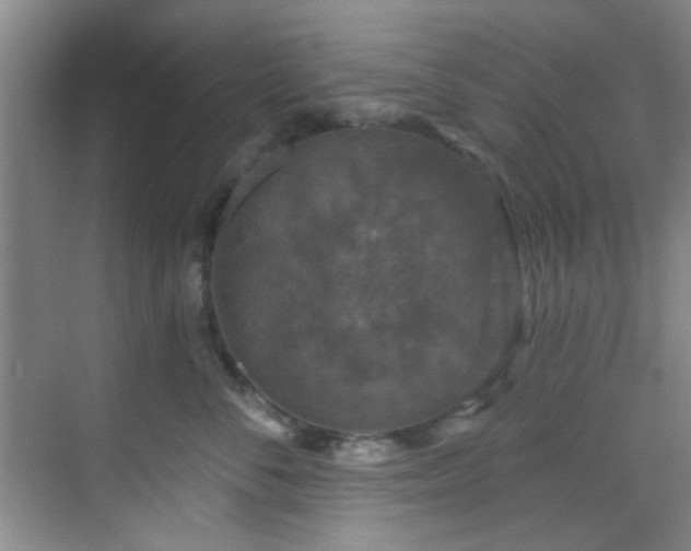 X0000070240716200606091335