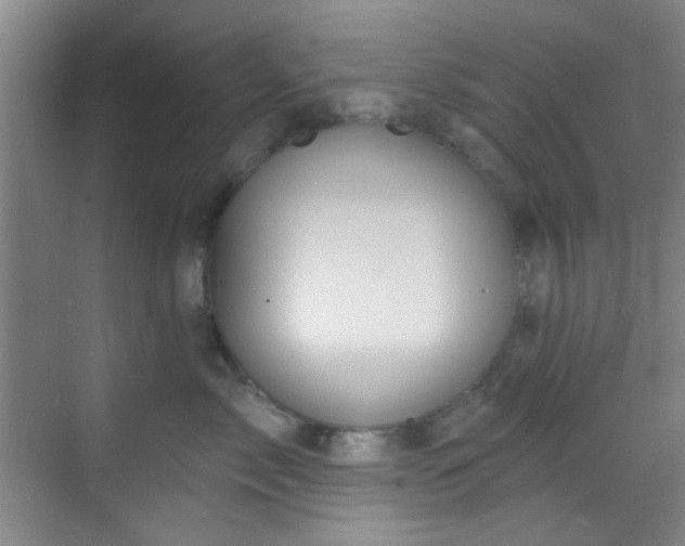 X0000070240717200606091335