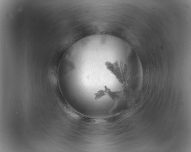 X0000070240719200606091335