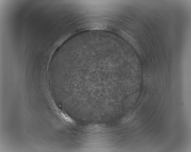 X0000070240721200606091334