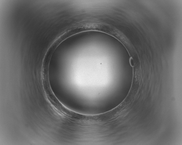 X0000070240722200606091334