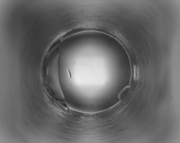 X0000070240723200606091334