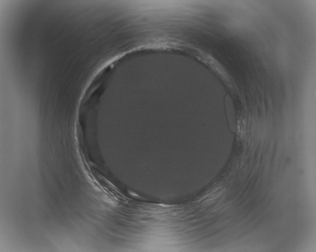 X0000070240724200606091334