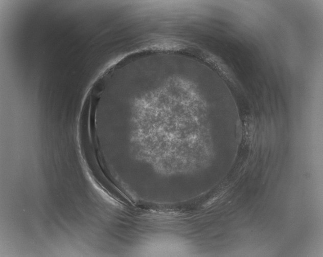 X0000070240726200606091334