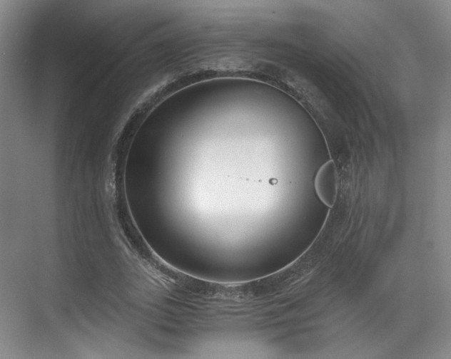 X0000070240727200606091334