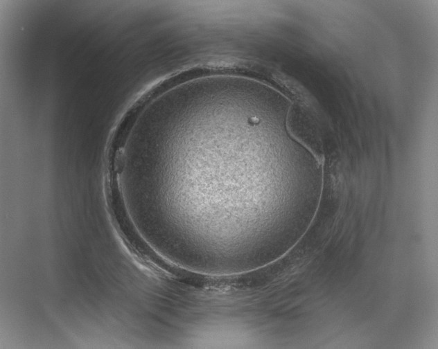 X0000070240728200606091334