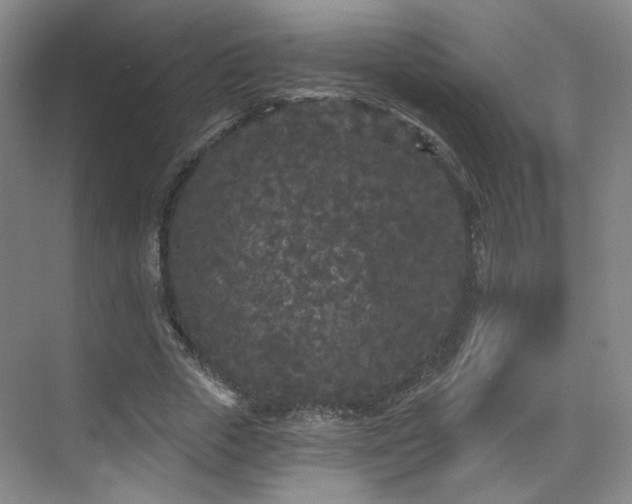 X0000070240729200606091334