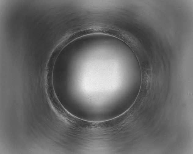 X0000070240730200606091334