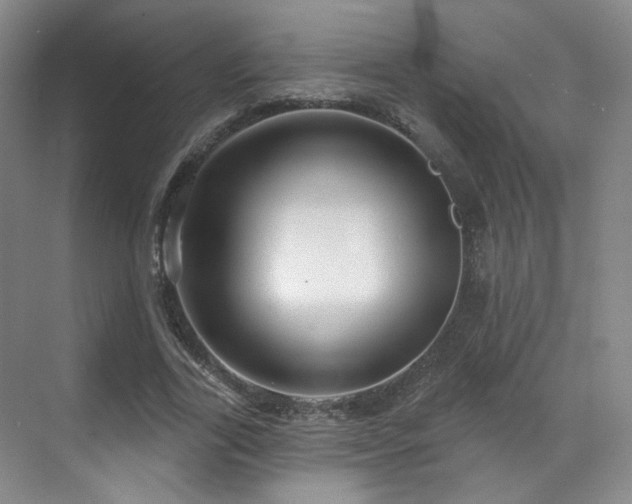 X0000070240731200606091334