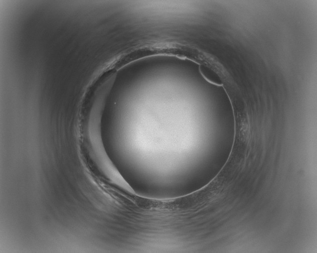 X0000070240732200606091334