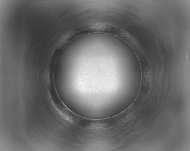 X0000070240734200606091334