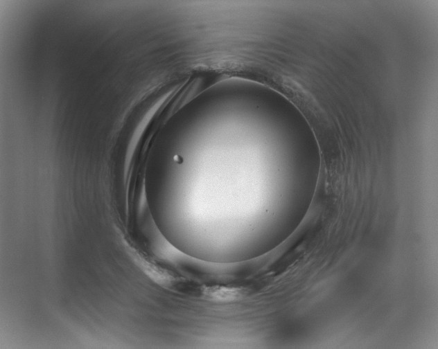 X0000070240735200606091334