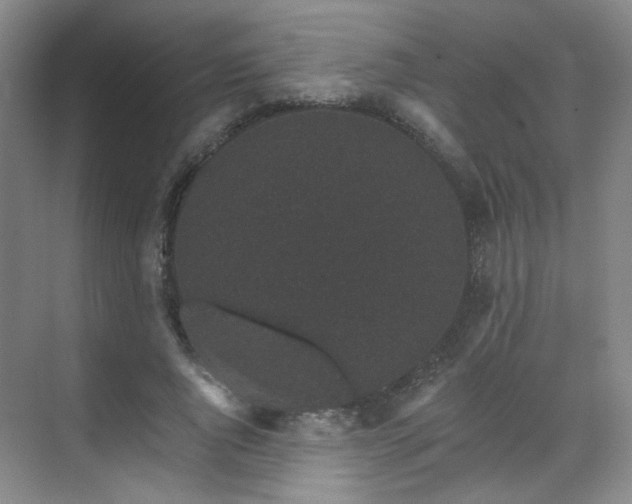 X0000070240736200606091334