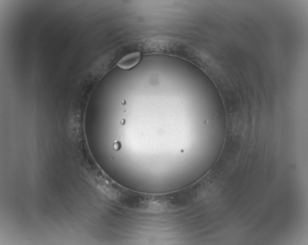 X0000070240737200606091334