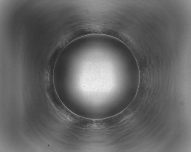 X0000070240739200606091334