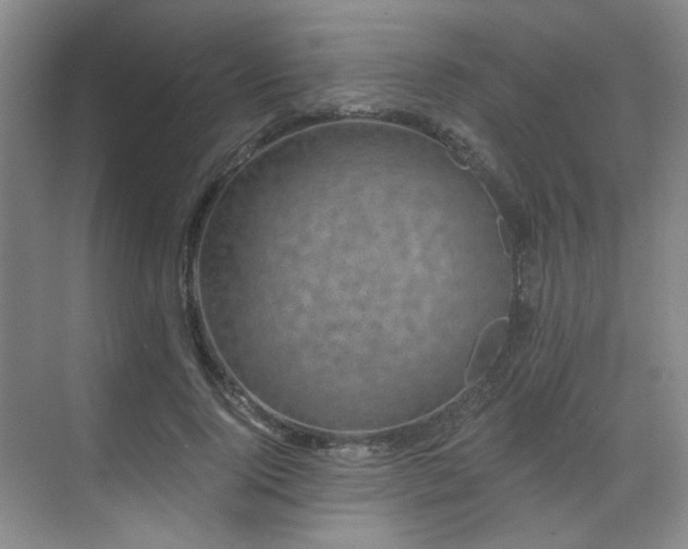 X0000070240740200606091334