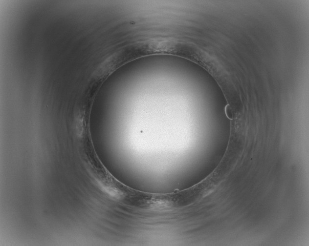 X0000070240741200606091334