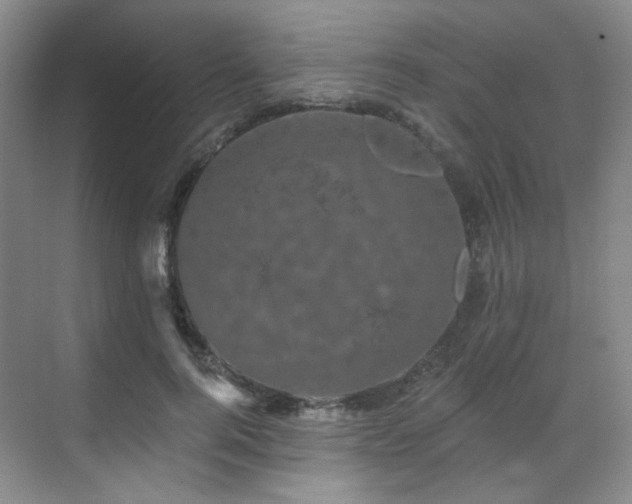 X0000070240744200606091334